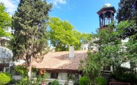 vip_tour_featured_600x216