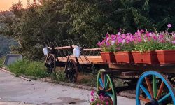 land_und_leute_1_1920x690