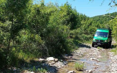 panorama_offroad_1388x499_1