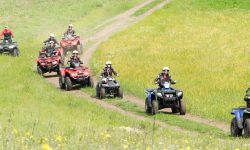 quad_safari_1_1920x690