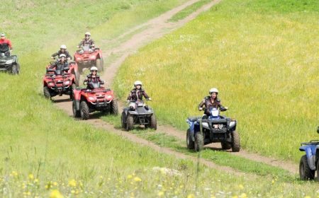 quad_safari_1_1920x690