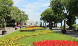 wochenmarkt_burgas_1_1920x690