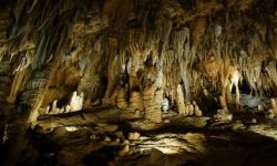 petralona_hoehle_wochenmarkt_600x215_featured