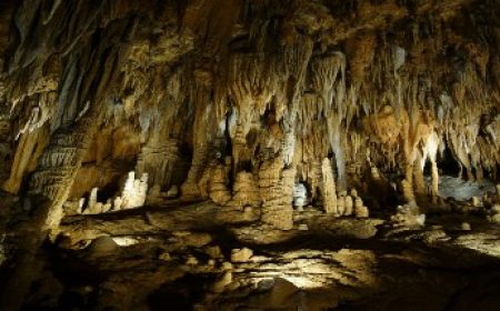 petralona_hoehle_wochenmarkt_600x215_featured