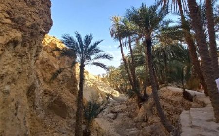 hoehepunkte_des_suedens_600x216_featured