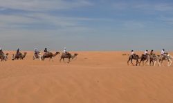 ksar_ghilane_600x216_featured