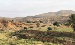 matmata_douz_1_1920x690