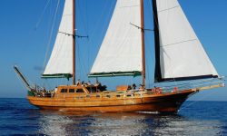 aphrodite_1_1920x690