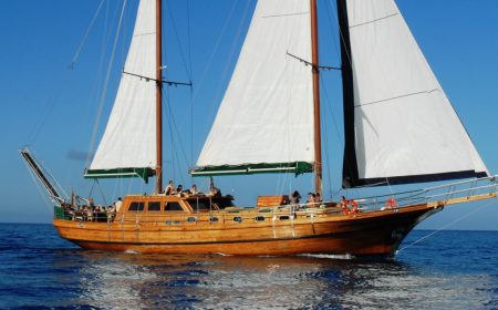 aphrodite_1_1920x690