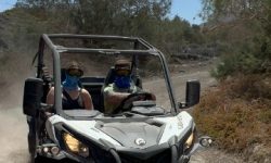 buggy_fatured_600x216