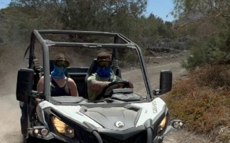 buggy_fatured_600x216