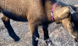 family_adventure_1_1920x690