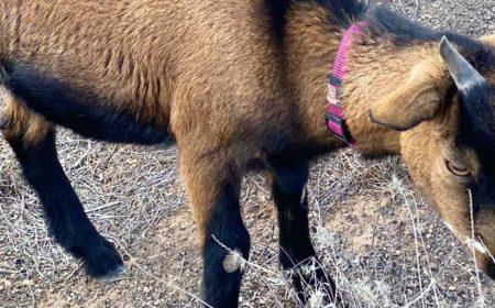 family_adventure_1_1920x690