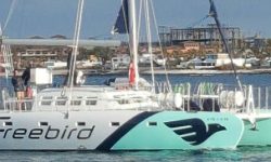 lobos_katamaran_1_747x268