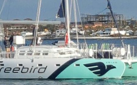 lobos_katamaran_1_747x268