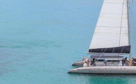 magic_select_1_1024x368