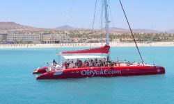 obicat_katamaran_1_1920x690