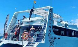 sealand_katamaran_featured_600x216