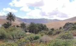 tapas_tour_1_1920x690