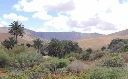 tapas_tour_1_1920x690