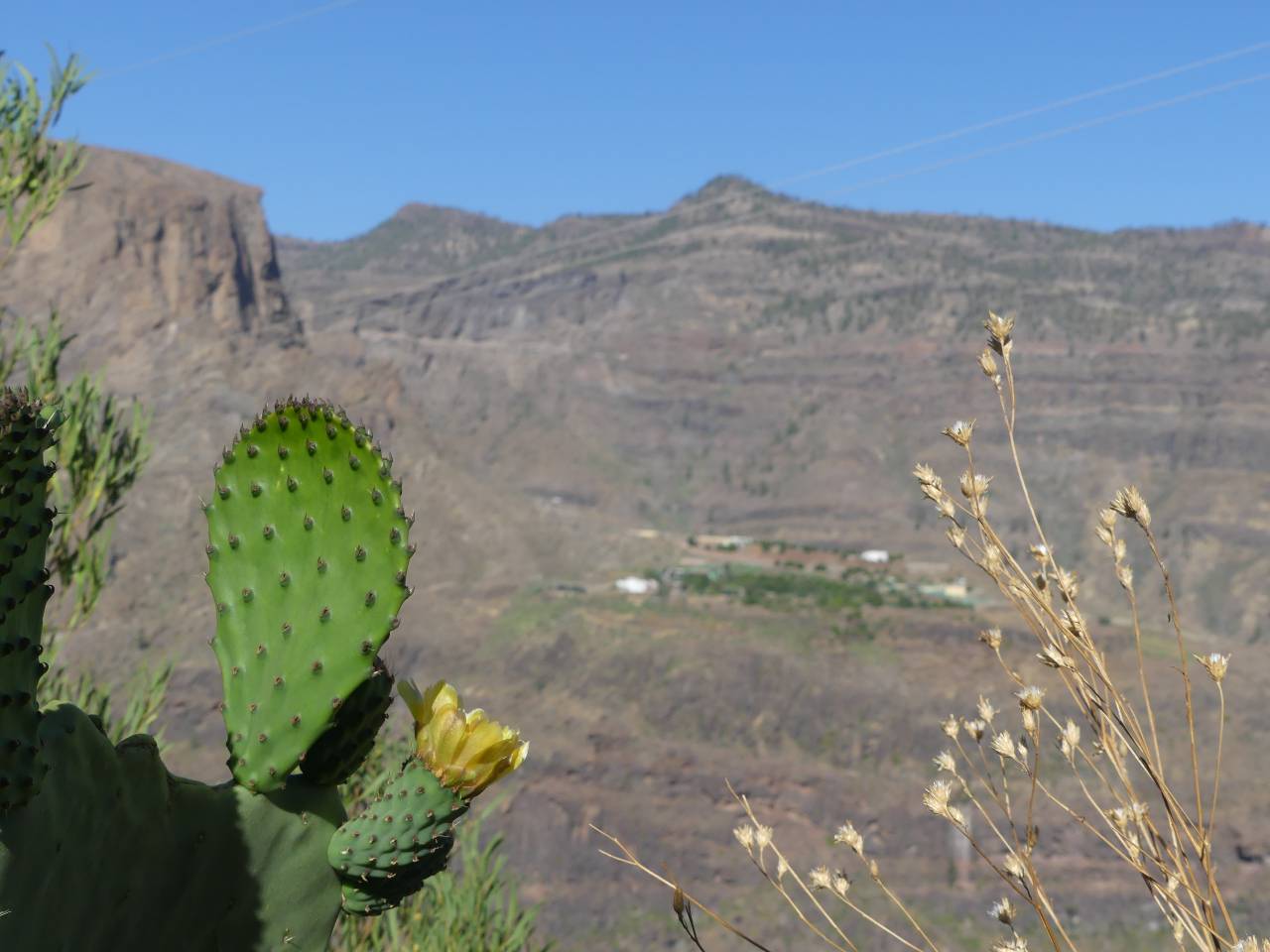 Big Mountain Cabrio Sunset Tour – Bild 3