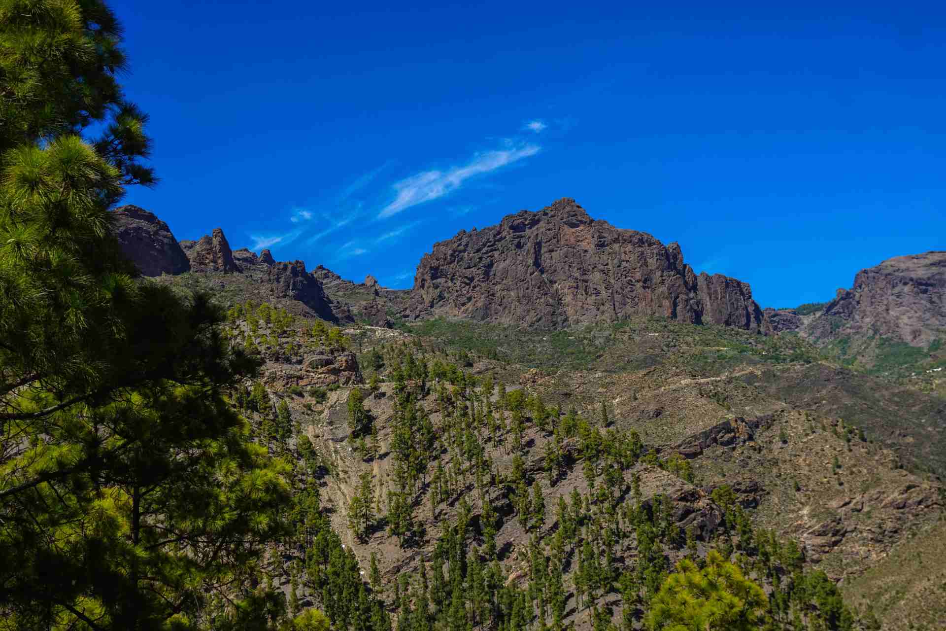 Buggy-Tour – Bild 7