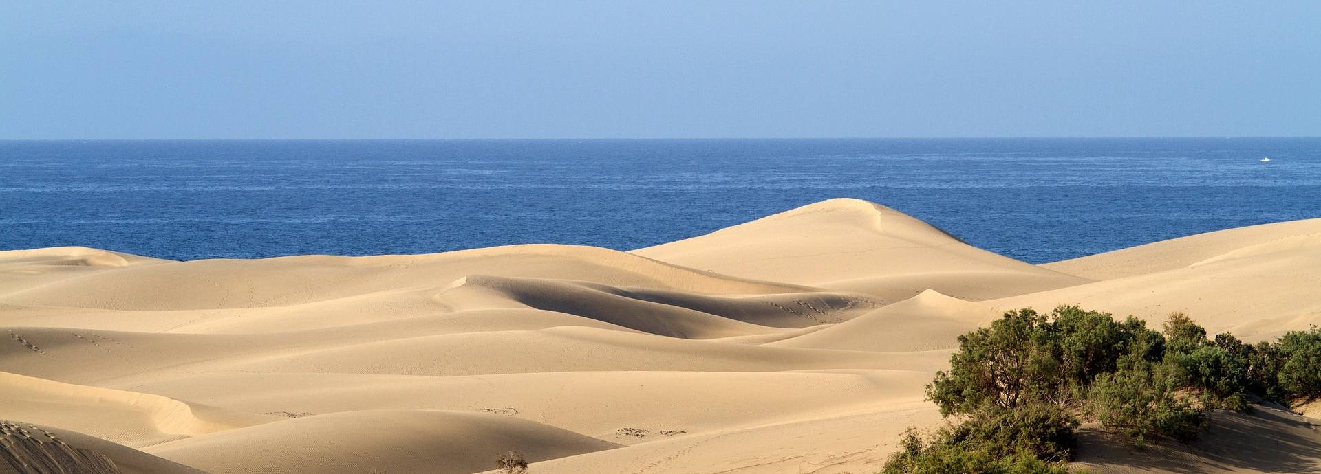Die Dünenlandschaft