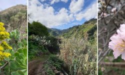 3_routen_wanderpaket_1920x690