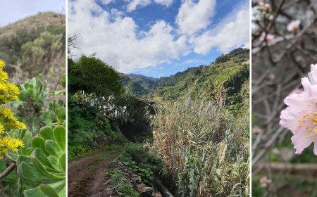 3_routen_wanderpaket_1920x690