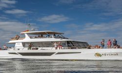 afrikat_katamaran_2_1920x690