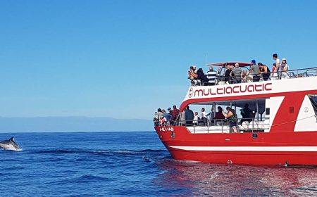 delfintour_1_1920x690