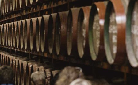 gruener_norden_1_1920x690