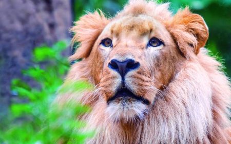 loro-parque_1920x690