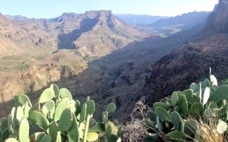 miniaturenkontinent_featured_600x216