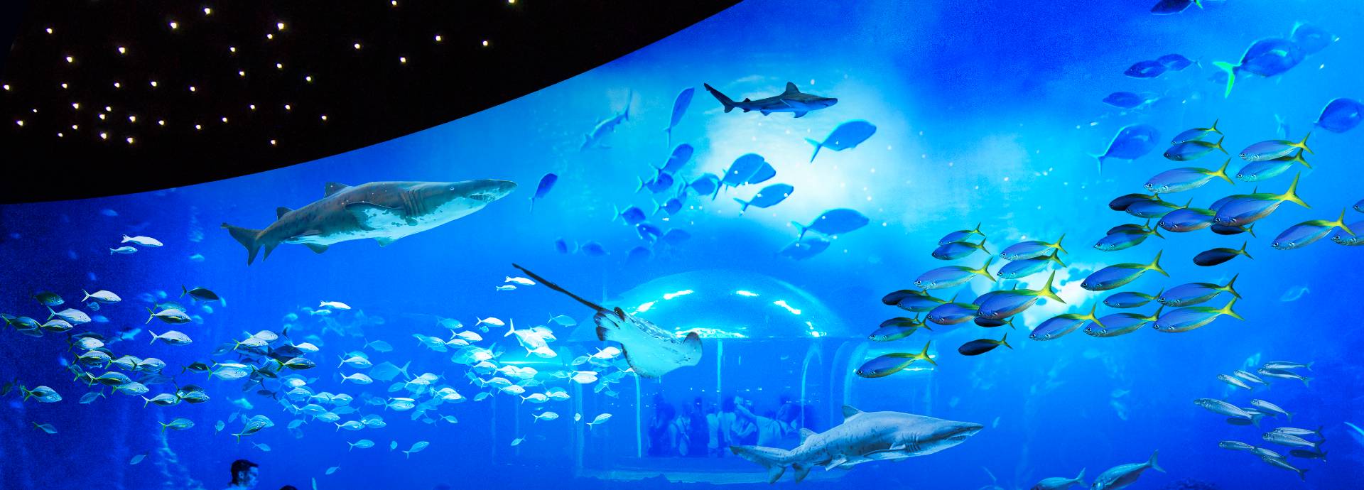 Poema del Mar – Bild 2