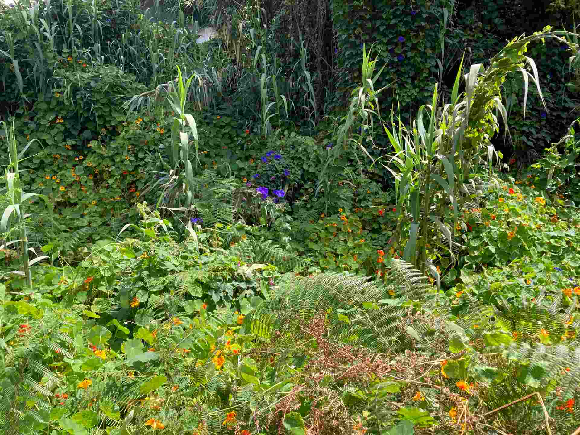 3-Routen-Wanderpaket – Bild 2