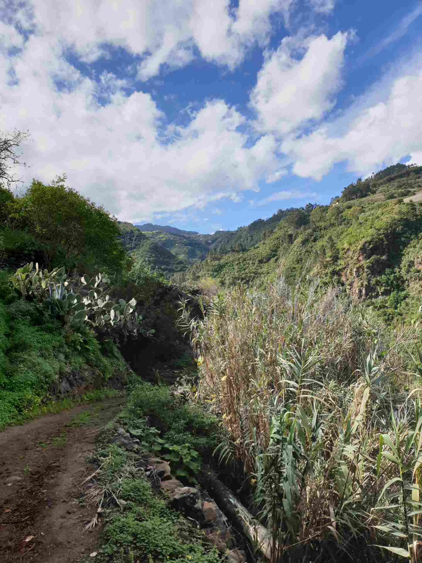 3-Routen-Wanderpaket – Bild 4