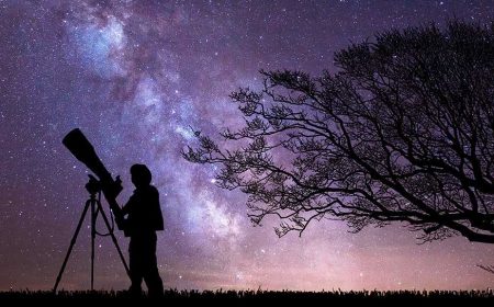 bibo_park_featured_600x216