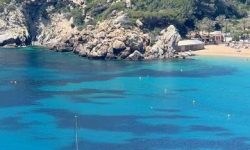 der_unberuehrte_norden_featured_600x216