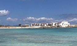 formentera_bus_1_1200x431