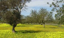 inselrundfahrt_1_1920x690