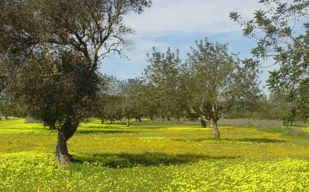 inselrundfahrt_1_1920x690