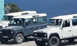 jeep_safari_featured_600x216