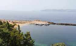 safari_off_the_track_1_1600x575