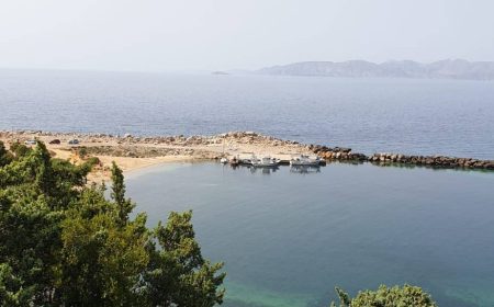 safari_off_the_track_1_1600x575