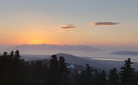 safari_sunset_1_1156x415