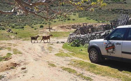 safaritour__1920x690