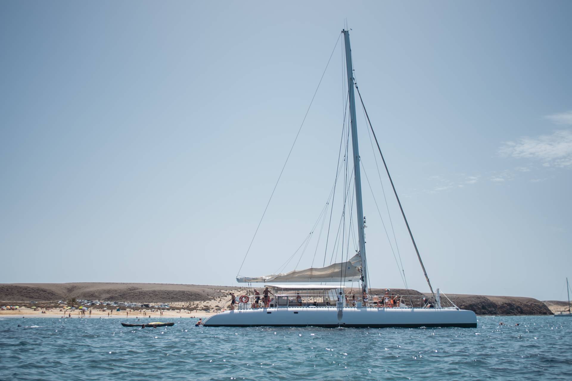 Catlanza Gold – Bild 2