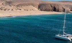 catlanza_platinum_1_1920x690