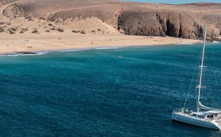 catlanza_platinum_1_1920x690